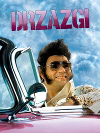 Drzazgi