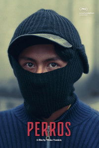 El Ladrón de Perros