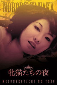 牝猫たちの夜