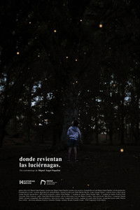 Donde revientan las luciérnagas