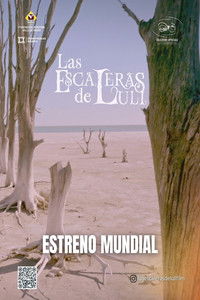 Лестница Лули