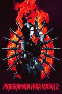 Чёрная кошка 2