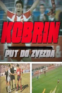 Kobrin put do zvezda