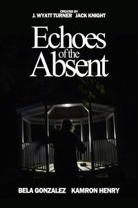 Echoes of the Absent