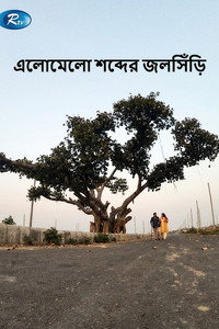 এলোমেলো শব্দের জলসিড়ি