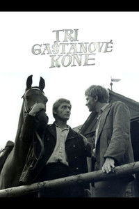 Tri gaštanové kone
