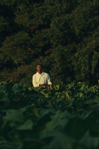 JESUS IS COMING (to take the Church away)