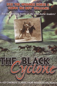 The Black Cyclone