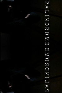 PalindromeemordnilaP