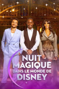 Nuit magique dans le monde de Disney