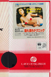 小川亜佐美の　おんなSEXカウンセラー　濡れ濡れテクニック