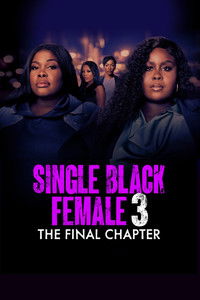 Single Black Female 3: The Final Chapter