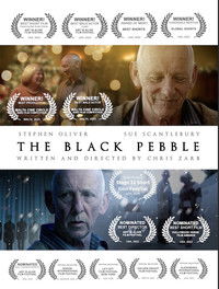 The Black Pebble
