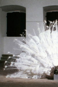 La Ferdinanda. Sonate für eine Medici-Villa