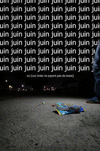 Juin ou  (Les chats ne payent pas de taxes)