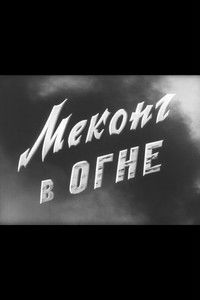 Меконг в огне