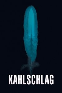 Вырубленный лес