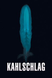 Вырубленный лес