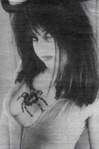 The Agony Is The Ecstacy