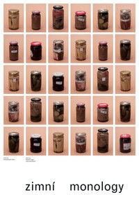 Zimní monology
