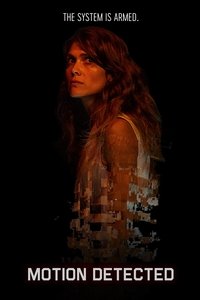 Обнаружено движение