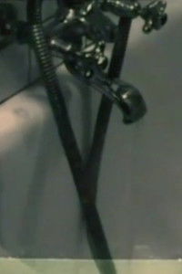 Mann & Frau & Animal