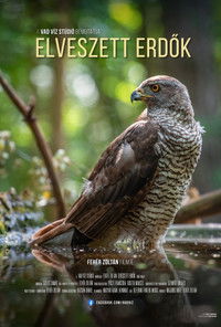 Elveszett erdők