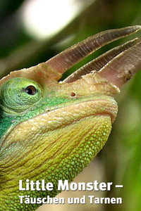 Маленькие монстры: Спрятаться и обмануть