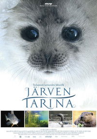 Järven tarina