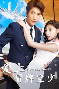 Влюбиться в фальшивого бортпроводника