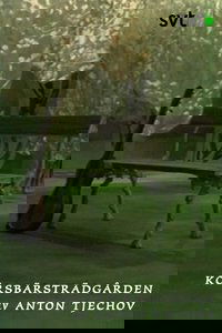 Körsbärsträdgården