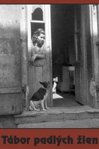 Лагерь падших женщин