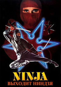 Входит ниндзя