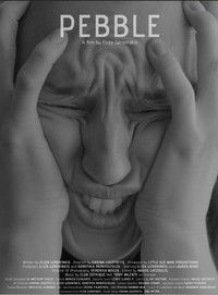 Pebble