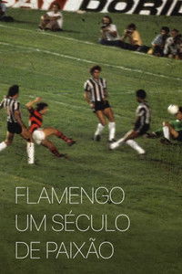Flamengo: Um Século de Paixão