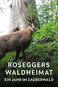 Roseggers Waldheimat - Ein Jahr im Zauberwald