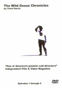 The Wild Goose Chronicles