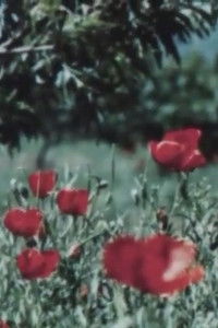 Искусство Таджикистана