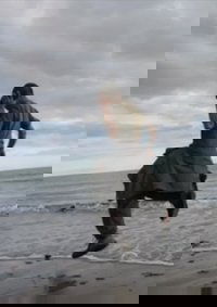 石头英国漫游记