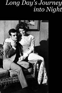 Долгий день уходит в ночь