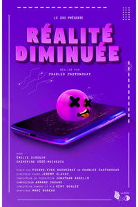 Réalité Diminuée