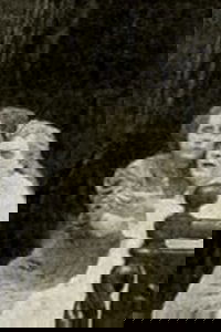 The Flight of the Crow