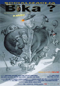 Socializacija bika?