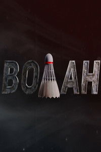 Волан