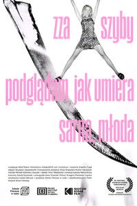 Zza szyby podglądam jak umiera sarna, młoda