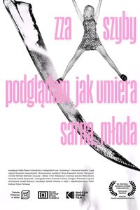 Zza szyby podglądam jak umiera sarna, młoda