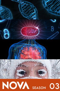 Сезон 3