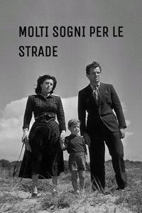 Мечты на дорогах