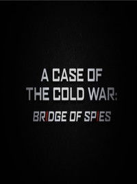 A Case of the Cold War: Bridge of Spies