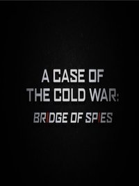 A Case of the Cold War: Bridge of Spies